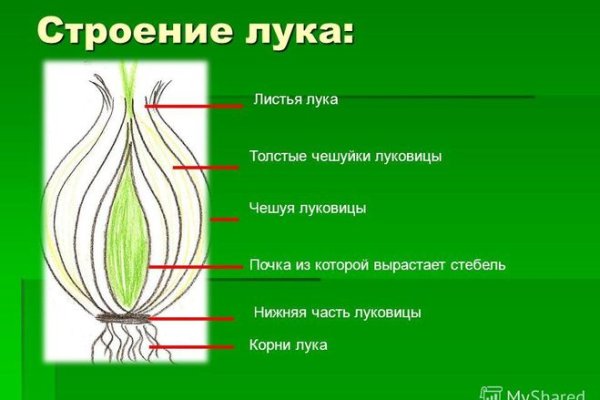 Модератор на кракене