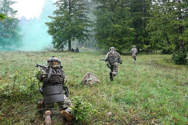 Пользователь не найден на кракене