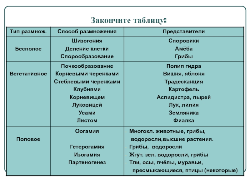 Kraken маркетплейс